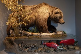 Totem Hotel & Suites
