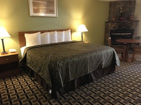 Motel in the Pines