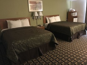 Motel in the Pines