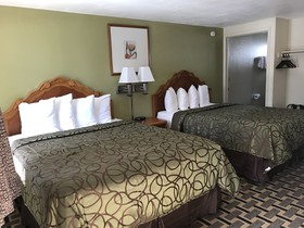 Motel in the Pines