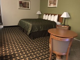 Motel in the Pines