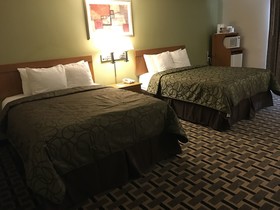 Motel in the Pines