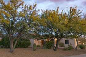 Oro Valley Oasis Bedroom by Casago