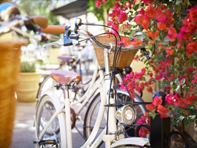 Bespoke Inn, Cafe & Bicycles