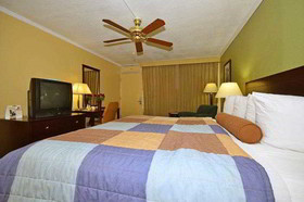 Papago Scottsdale by Reside, Trademark Collection by Wyndham