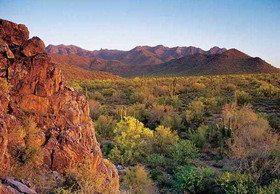 Residence Inn Scottsdale North