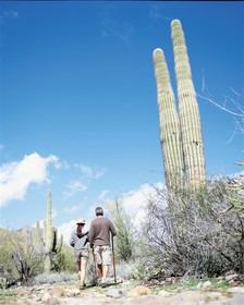 The Westin Kierland Villas, Scottsdale