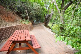 Cedars Resort