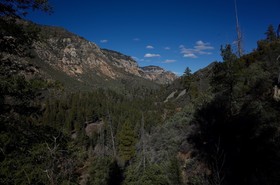 Junipine Resort