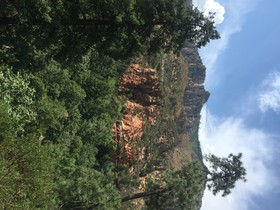 Junipine Resort