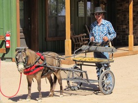 Tombstone Monument Ranch