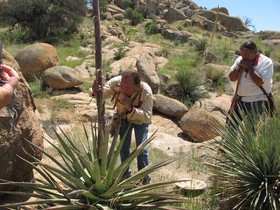 Tombstone Monument Ranch