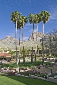 Hilton Tucson El Conquistador Golf & Tennis Resort