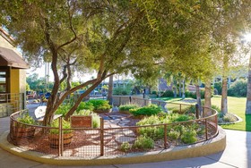 Hilton Tucson El Conquistador Golf & Tennis Resort