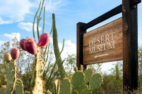 Hyatt Place Tucson-Central
