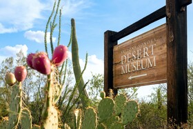 Hyatt Place Tucson-Central