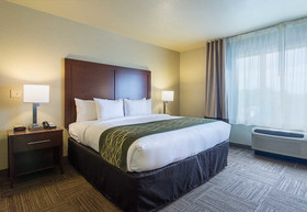Comfort Inn Crystal Bridges