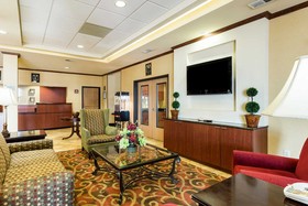 Comfort Inn & Suites