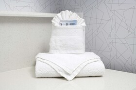 Hampton Inn Bryant