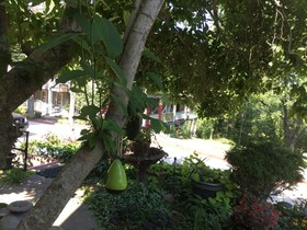 All Seasons Inn