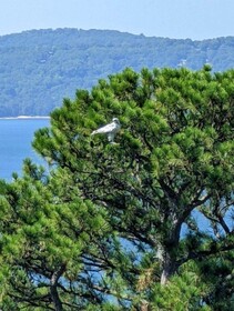 Pointe West Resort & Suites