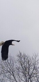 Pointe West Resort & Suites