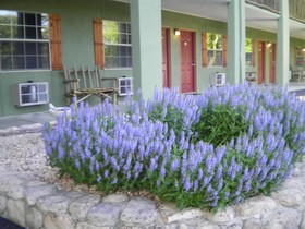 The Lodge