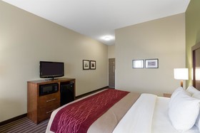 Comfort Inn & Suites Fayetteville-University Area
