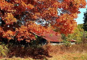 Courtyard Fayetteville