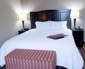 Hampton Inn And Suites Hope