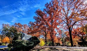 Edgewater Resort