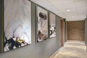Embassy Suites by Hilton Hot Springs Hotel & Spa