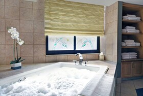 Embassy Suites by Hilton Hot Springs Hotel & Spa