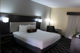 Best Western Jacksonville Inn