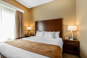 Comfort Suites Jonesboro University Area