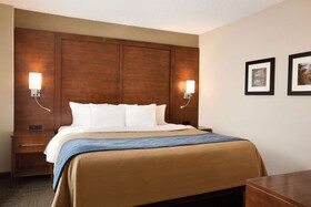Comfort Inn & Suites Presidential
