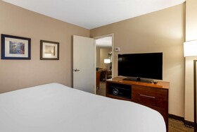 Comfort Inn & Suites Presidential