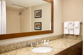 Comfort Inn & Suites Presidential