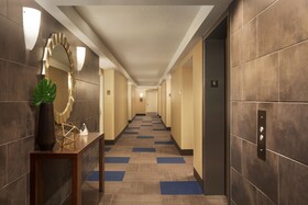 Comfort Inn & Suites Presidential