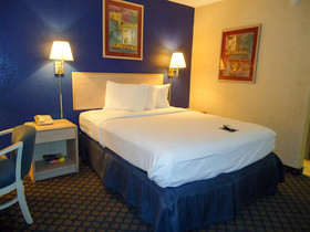 Dreamland Inn