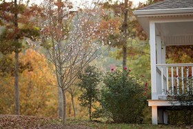 Stonehill Cottages
