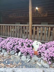 Snyder's Knob Bed & Breakfast