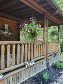 Snyder's Knob Bed & Breakfast