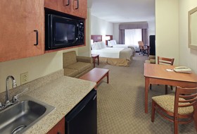 Holiday Inn Express & Suites Pine Bluff/Pines Mall