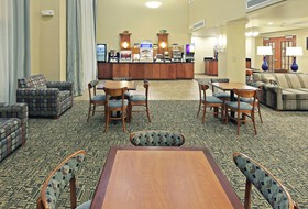 Holiday Inn Express & Suites Pine Bluff/Pines Mall