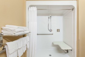 Microtel Inn & Suites by Wyndham Rogers
