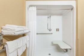 Microtel Inn & Suites by Wyndham Rogers