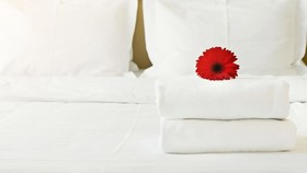 M Star Hotel Searcy