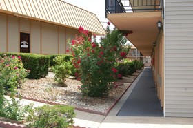 Executive Inn and Suites Springdale