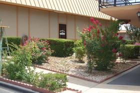 Executive Inn and Suites Springdale
